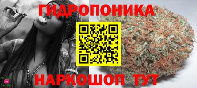 шишки Лесосибирск