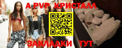 шишки Лесосибирск
